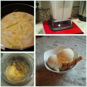 Coconut Milk Lemongrass Ice Cream-The Prize of Cooking Gluten and Dairy Free